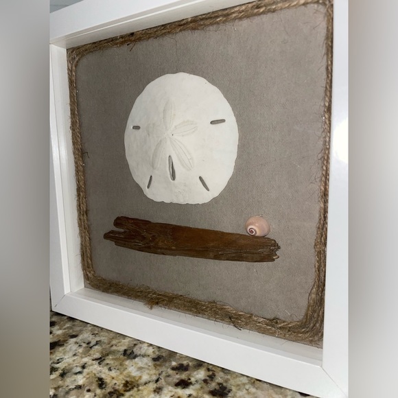 Sand Dollar, Shell, Wood.. Arranged In A ShadowBox - Picture 2 of 4